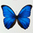 ELIZABETH PERAFAN LEDEZMA