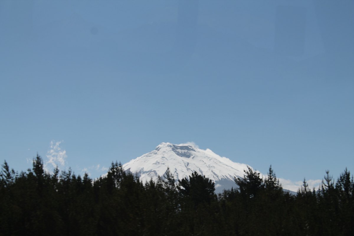 ACERCA DE PEDRO PARAMO.