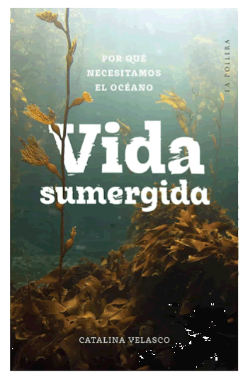 Vida sumergida: por qué necesitamos el océano